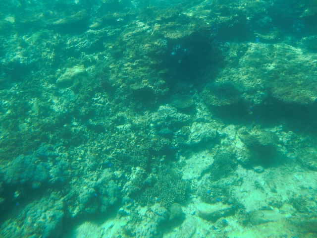 066 (640x480).jpg