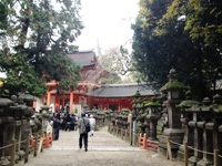 2012-11-24 11.11.16.jpg