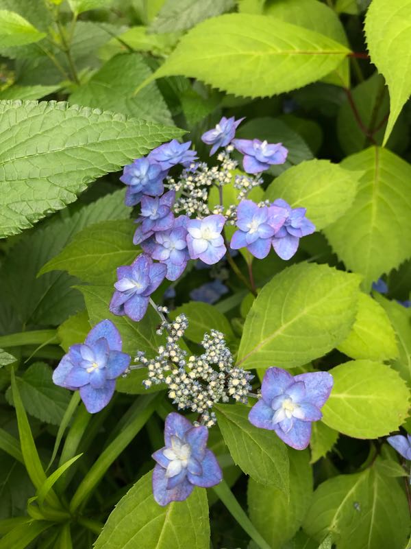 rblog-20180531150337-02.jpg
