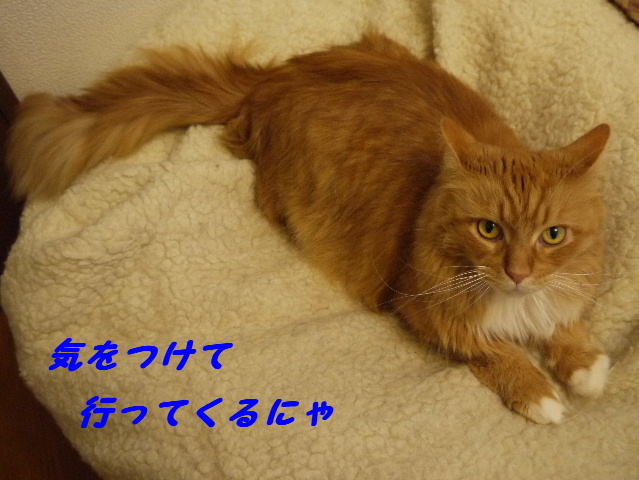 P1250357.JPG