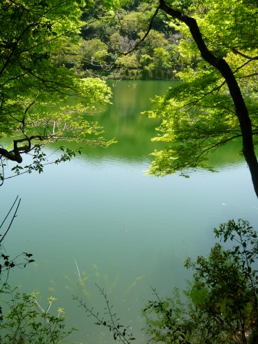 106 (375x500).jpg