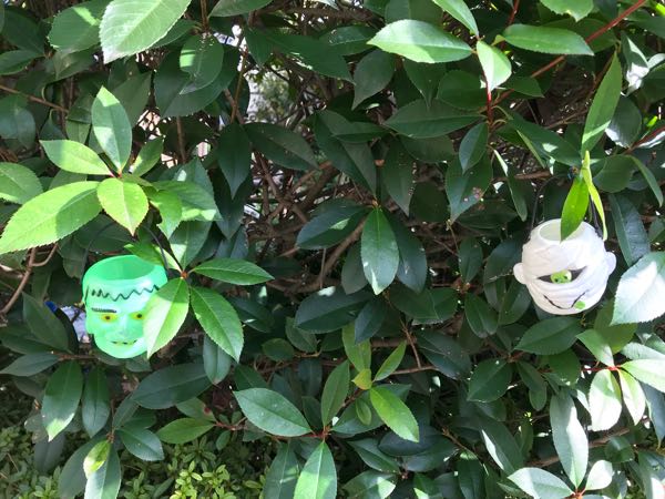 rblog-20181103151508-02.jpg