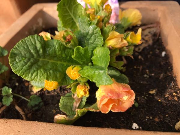 rblog-20190401164419-06.jpg