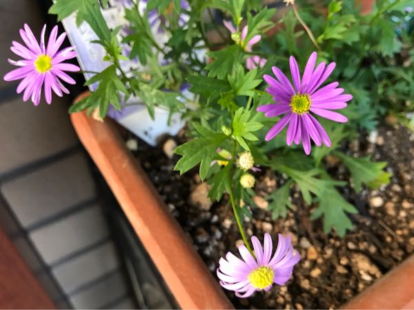 rblog-20181029111459-01.jpg