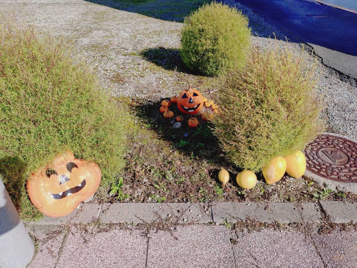 ランニングコースにハロウィンの飾り | 温泉ランニング - 楽天ブログ