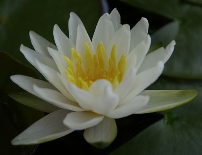 IMGP7576.JPG