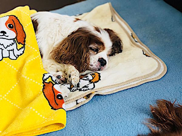 rblog-20180303231628-08.jpg