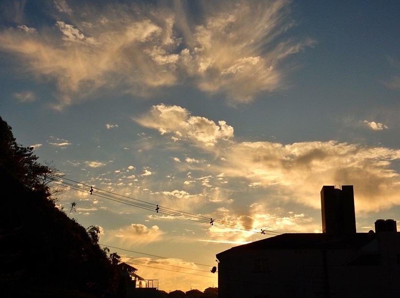 夕暮れ2.JPG