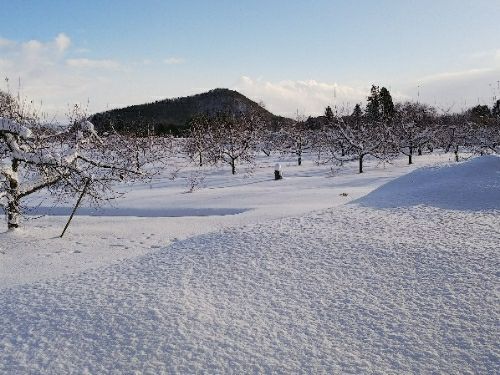 rblog-20180104075238-01.jpg