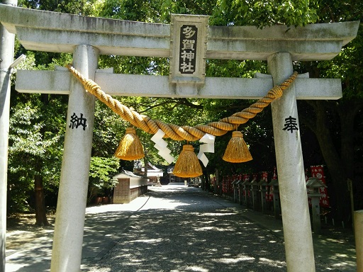 大きな神社です