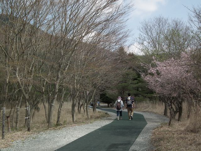 DSCF3773.JPG