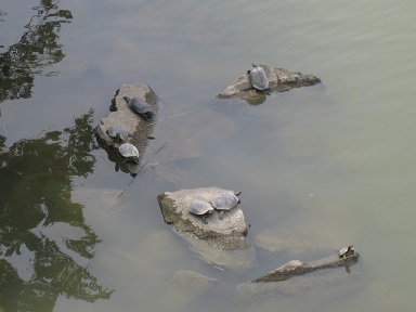 IMG_0059 縮小 - コピー.jpg