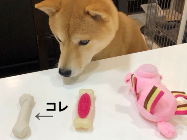 rblog-20180110145522-00.jpg