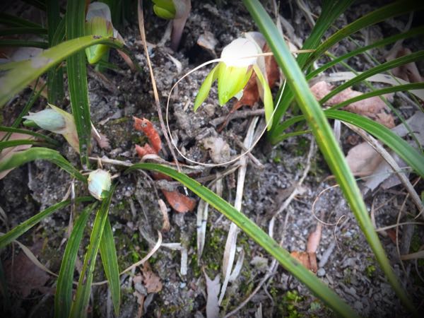 rblog-20160308142755-04.jpg