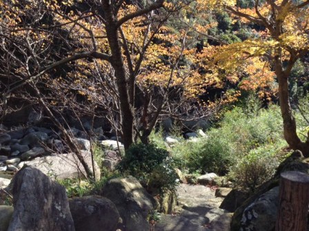 miwatasebahanamokusakimo