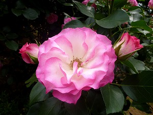 20120520(12).jpg