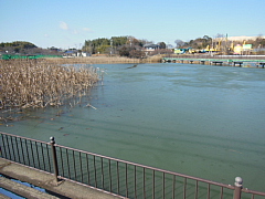 conv0280.JPG