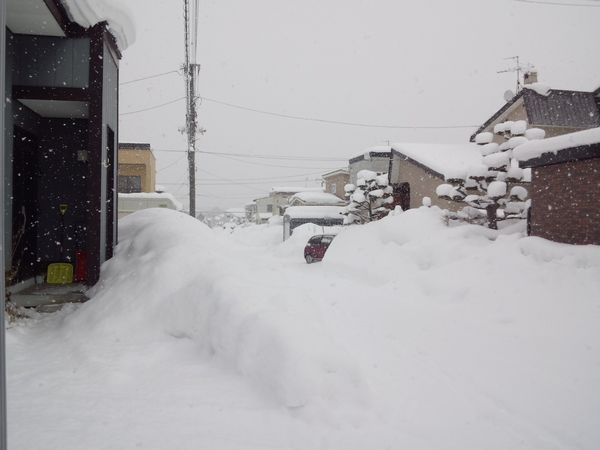 2013.2.18の降雪.JPG