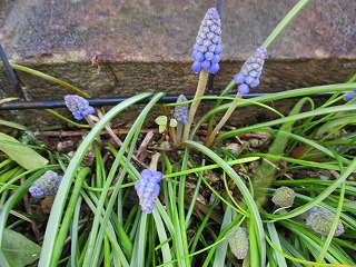 IMG_9568ss.jpg