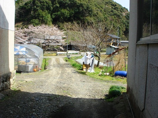 谷崎さんち.jpg
