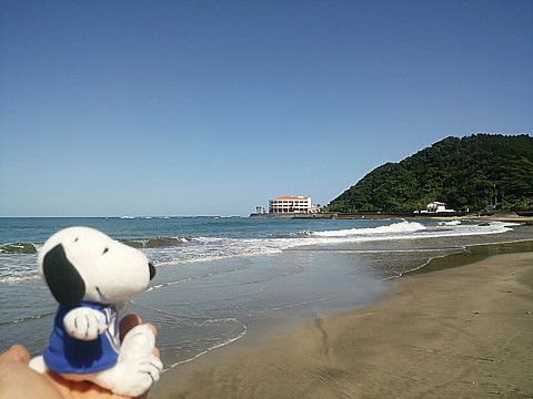 IMG_20160417_144644.jpg