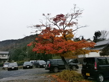 京都　洛北・鷹ヶ峰の紅葉