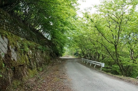 DSC07292.JPG