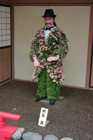 湯島天神 菊まつり