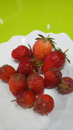 2012062619130001.jpg