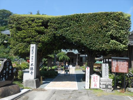 花のお寺「本勝寺」の紫陽花