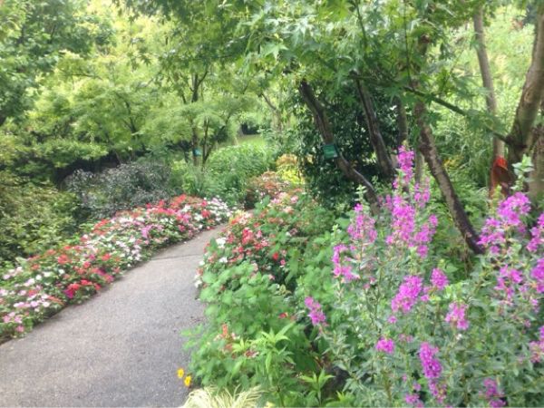rblog-20140802203718-01.jpg