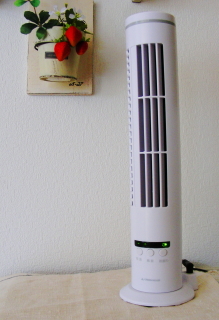 08-02fan.JPG