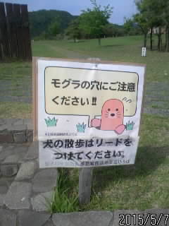 もぐらに注意