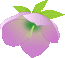 kurirozu-hana8b.gif