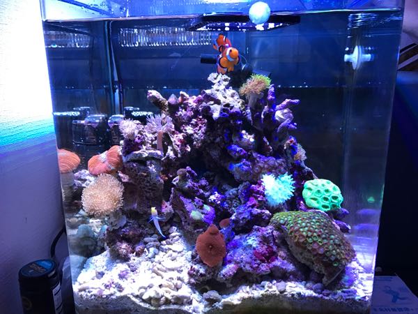 中華ledを海道システムに設置レビュー 釣り師 のブログ 楽天ブログ