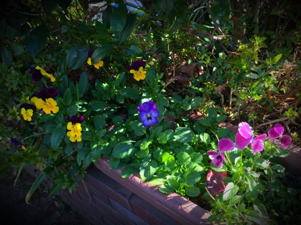 rblog-20151229111445-03.jpg