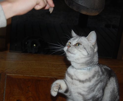 DSC_0104.JPG