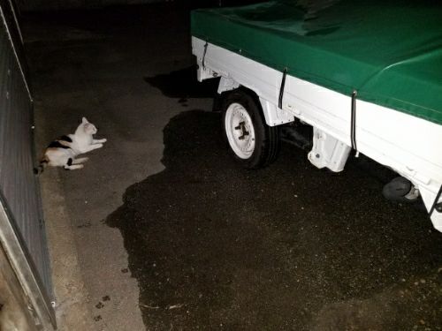 rblog-20180830005900-06.jpg