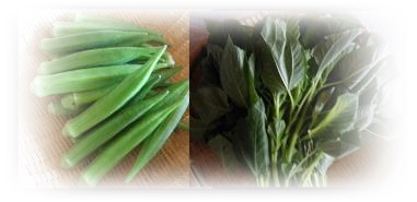 野菜