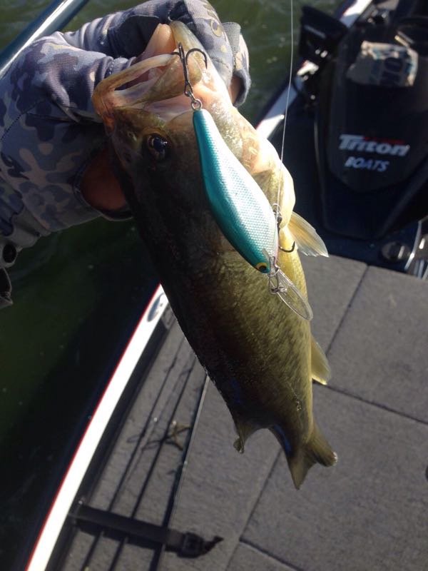 rblog-20150812011441-05.jpg