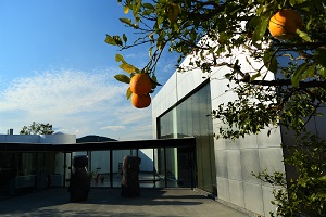 池田20世紀美術館