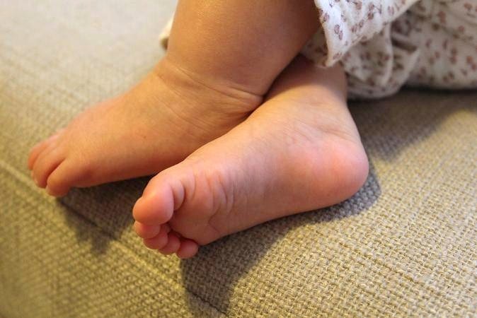 IMG_7904.JPG