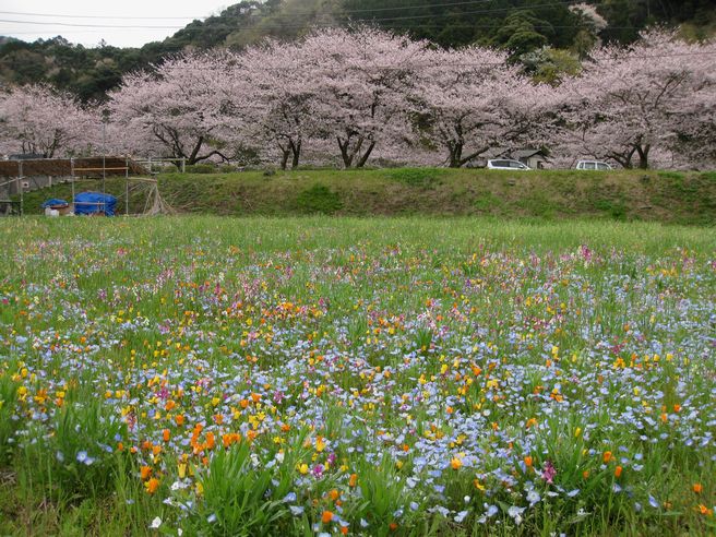 松崎_0166.jpg