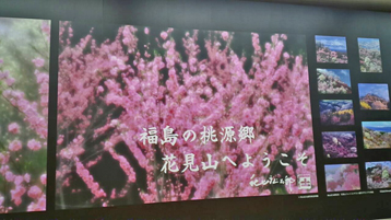 hp9.jpg