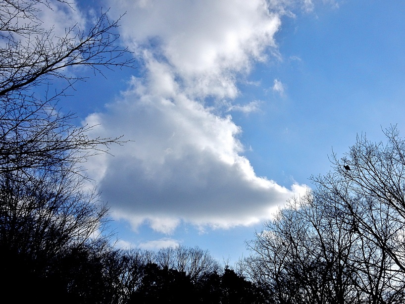 空4.JPG