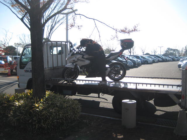 IMG_3856.JPG