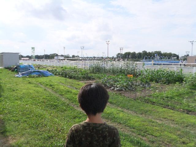 DSCF1300.jpg