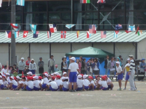 P1150486 (500x374).jpg