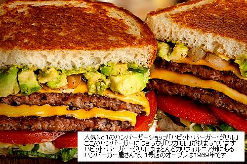 135ページ目の記事一覧 耳 ミミ とチャッピの布団 楽天ブログ