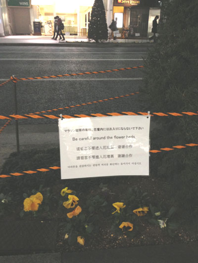 東京マラソン準備中